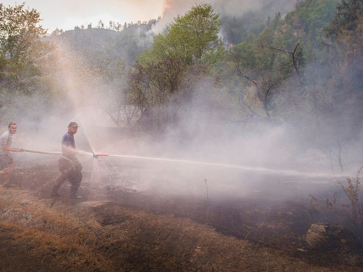 Грузия просит помощи в ликвидации лесных пожаров в районе Боржоми