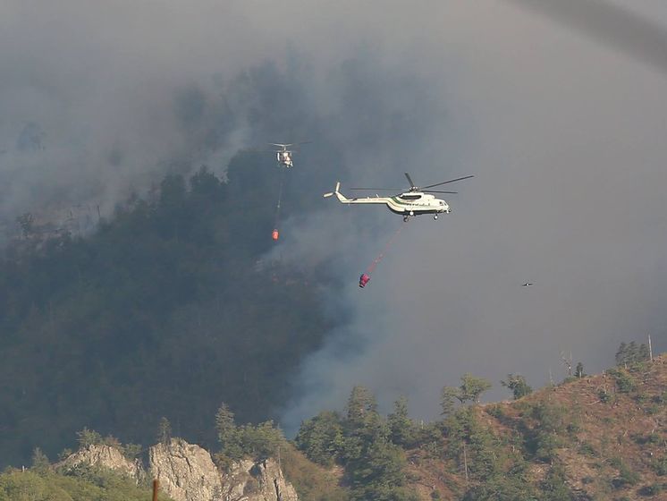 Украина направит в Грузию самолет для тушения лесных пожаров