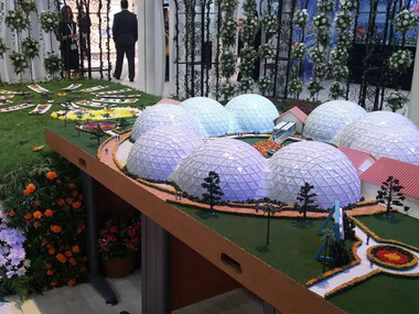 В Дубае откроется самый большой в мире парк бабочек