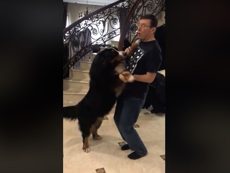 Жена генпрокурора Луценко опубликовала запись его танца с собакой. Видео