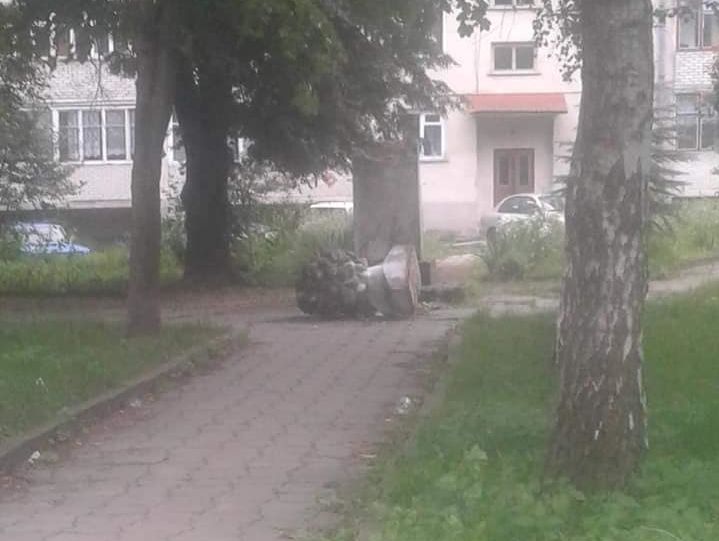 У Золочеві Львівської області вандали знищили пам'ятник Пушкіну &ndash; мер