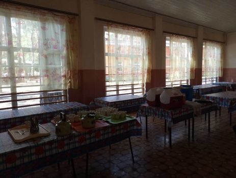 Отравление в лагере в Донецкой области: у 18 из 94 госпитализированных подтвержден диагноз "острая дизентерия Зонне"