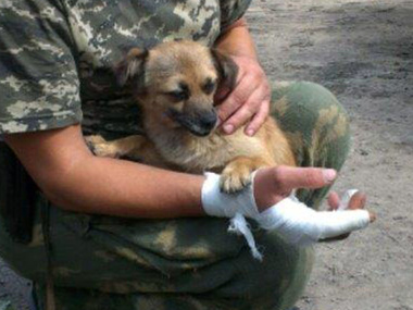На пункте пропуска "Должанский" собака спасает солдат от обстрела