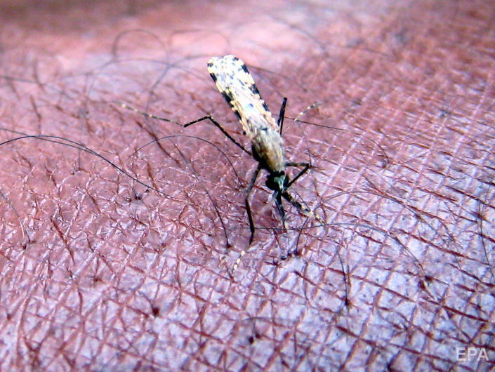 В Тернополе студентка из Нигерии заболела малярией
