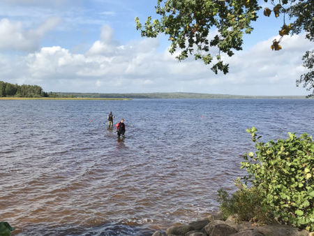 ﻿У Швеції восьмирічна дівчинка виявила в озері меч, якому 1,5 тис. років