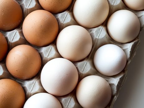 От чего зависит цвет яичной скорлупы и влияет ли он на состав яиц