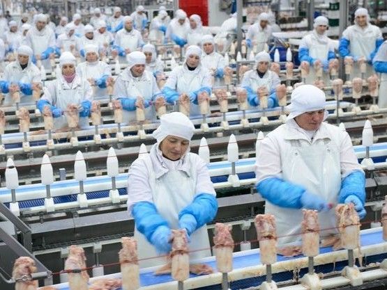 В "Мироновском хлебопродукте" заявили, что санкции РФ против предприятия бесполезны, так как активы в Крыму потеряны