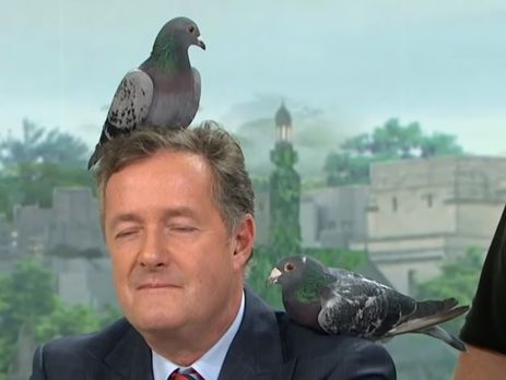 ﻿В ефірі британського ток-шоу голуби не захотіли сидіти на ведучому і розлетілися студією. Відео