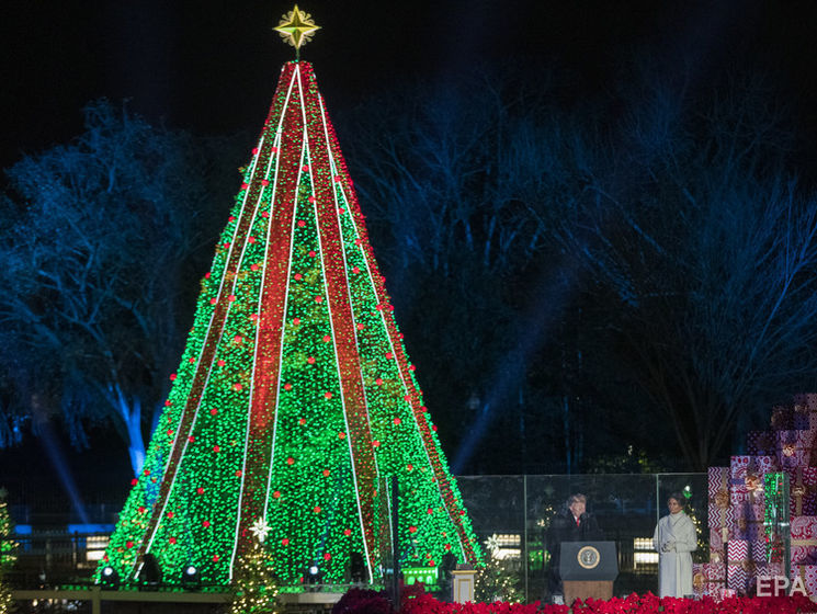 Из-за шатдауна в США не могут починить иллюминацию на рождественской ели у Белого дома