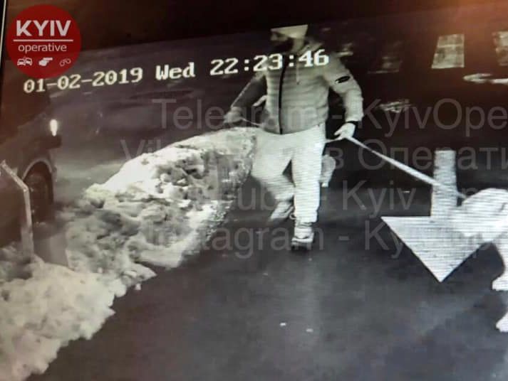 В Киеве неизвестный "собачник" во время драки убил сотрудника Управления госохраны – СМИ