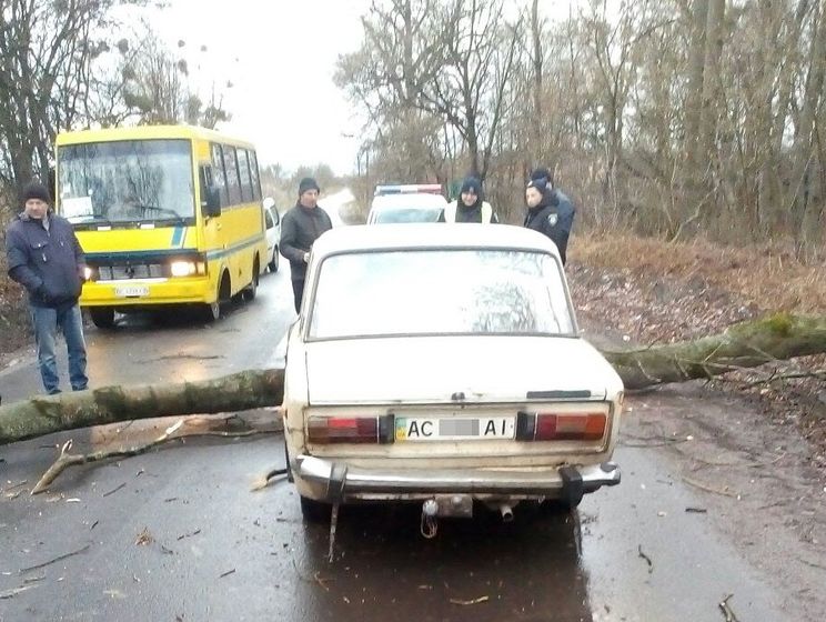 Из-за ветра в Украине 47 населенных пунктов остались без света, повреждены крыши 75 домов, упало более 100 деревьев – ГСЧС