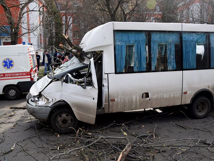 У Миколаєві дерево впало на маршрутку з пасажирами