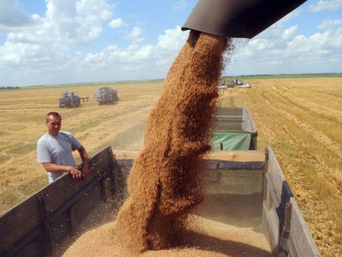 В Українській зерновій асоціації вважають, що індексація тарифів на залізничні вантажоперевезення негативно вплине на експорт зерна