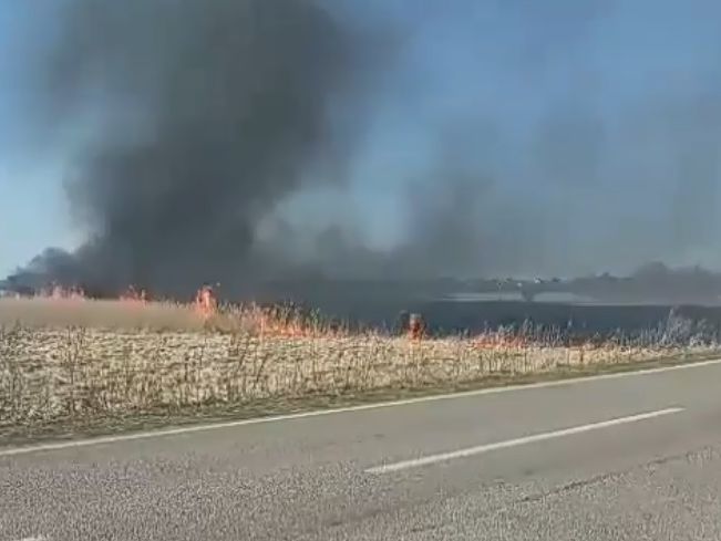 В Ровенской области из-за масштабного пожара ограничили движение на участках дорог М-06 и Т-1801 &ndash; "Укравтодор"