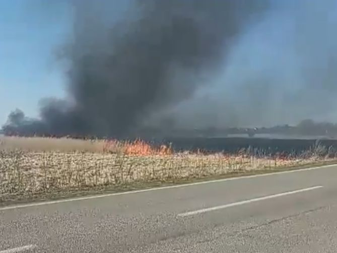 Пожар на подъезде к Ровно локализовали &ndash; "Укравтодор"