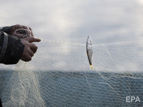 В Украине вступил в силу запрет на вылов рыбы на период нереста. Инфографика