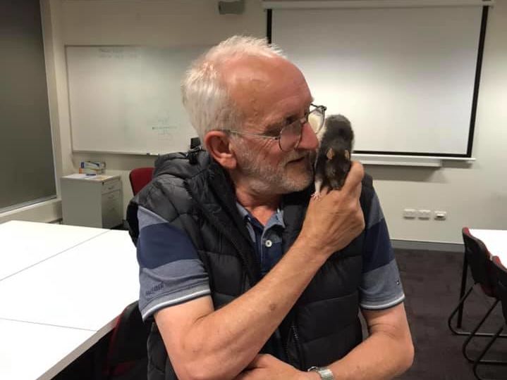 ﻿Австралійський бездомний втратив ручного пацюка. Поліція знайшла його і повернула йому