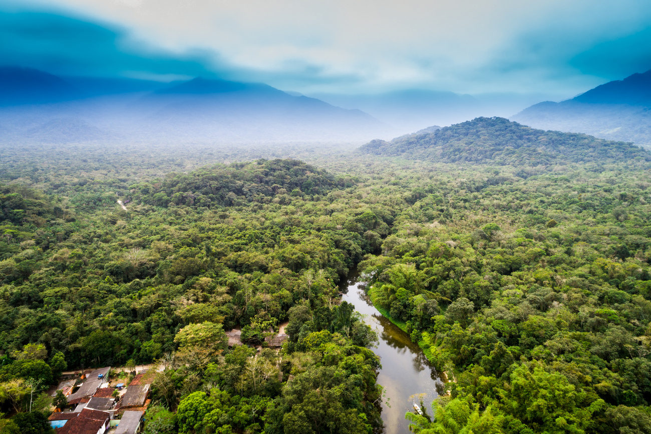 Підписанти пообіцяли захищати тропічні риштування Амазонії. Фото: EPA