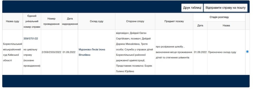 Скріншот: bpm.ko.court.gov.ua via suspilne.media